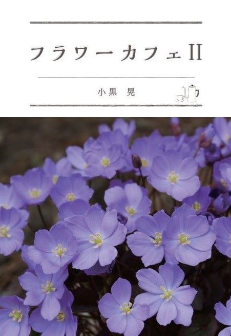 MUSASHI BOOK STORE / ガーデニング